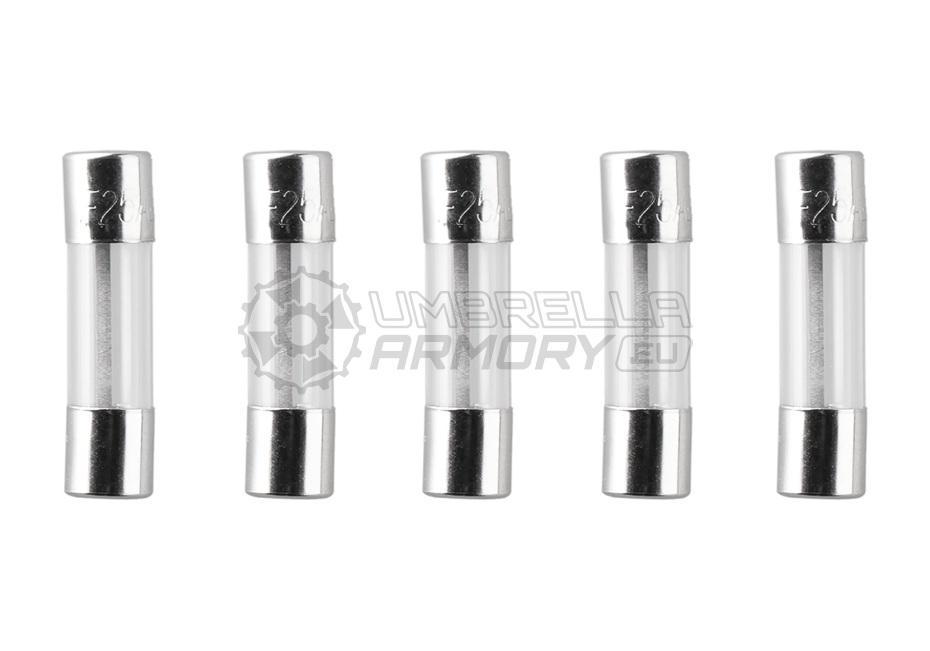 Glass Type Fuse 5x20mm 25A 5pcs (Nimrod)