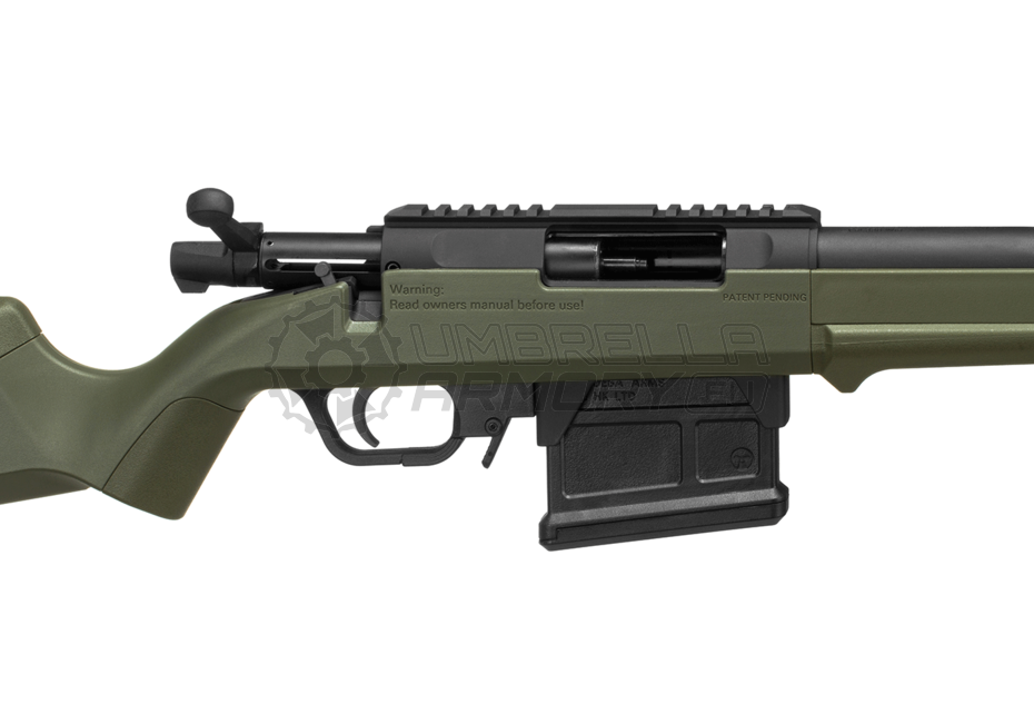 Striker AS-01 Bolt Action Sniper Rifle (Amoeba)